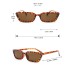 5pairs/set Women's Classic Plastic Leopard Print Fashion Decorative Glasses For Daily Or Party Use